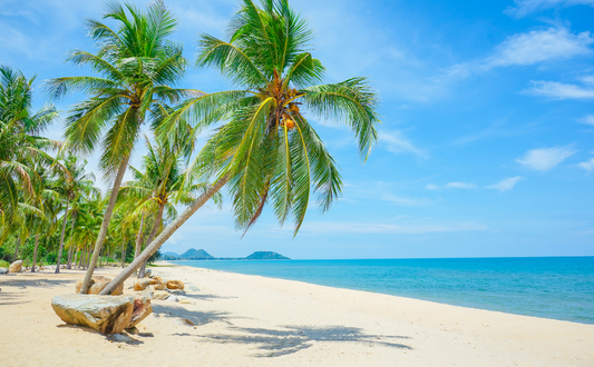 Blog: "Consejos de Decoración Tropical"